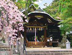 岡崎神社