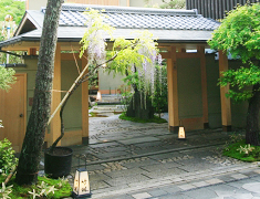 竹林