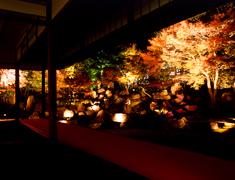圓徳院